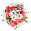 This bouquet is a joyful celebration of colour and thoughtful floristry, expertly arranged for the Marks Gate community. At its heart, radiant white daisies with soft green centers capture attention, surrounded by plush, coral-pink carnations whose ruffled petals bring warmth and volume. Wisps of delicate baby's breath float amongst the larger blooms, adding lightness and a sense of gentle movement, like sunlight dancing across the greenery of Mayesbrook Park. Peeking from between the foliage are a few alstroemeria buds, brushed with subtle streaks of lavender and rose, hinting at blossoms soon to unfold. The arrangement is rounded by an artful mix of eucalyptus and deep green leaves, which offer a fragrant and calming base. Each stem is placed with care, creating a harmonious, circular display that feels both inviting and uplifting. The bouquet's soft palette and variety of textures make it perfectly suited for gifting on birthdays, sending heartfelt congratulations, or simply bringing cheer to friends and family throughout Marks Gate. This creation reflects the artistry and dedication of local florists, elevating everyday gestures into moments of joy and connection.